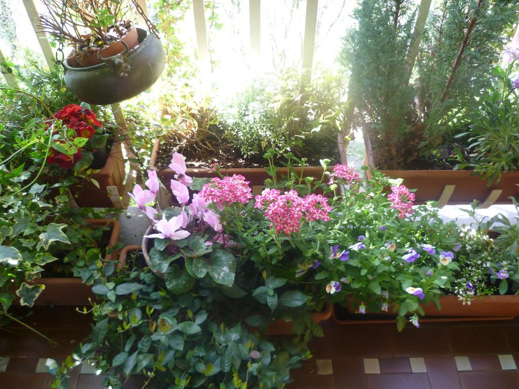 Bed and Breakfast La Terrazza Sul Po Turin Exterior foto